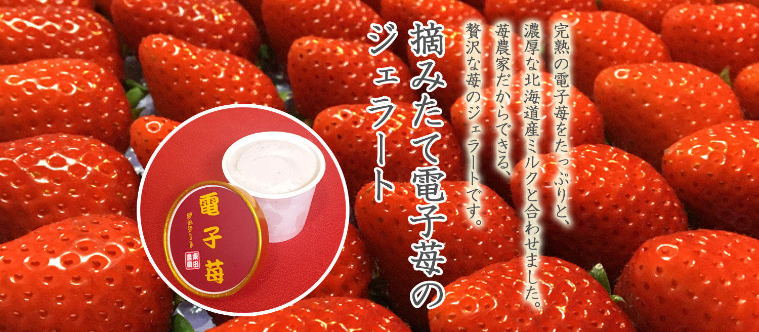 摘みたて電子苺のジェラート | 奈良県の電子苺産直農家 東田農園